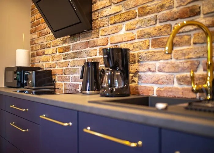 Art Premium 公寓 耶莱尼亚古拉